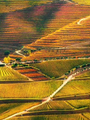 Báo Anh chọn hai điểm đến ở Việt Nam vào top đẹp nhất thế giới