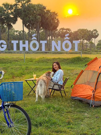 Biến rừng thốt nốt hoang sơ thành điểm du lịch độc đáo ở vùng Bảy Núi