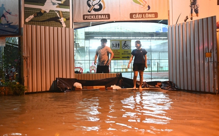 Triều cường ngày 7.11 ở TP.HCM: Bán đảo Thanh Đa bớt ám ảnh cảnh ngập nước