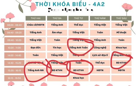 Cấm ép học sinh học môn liên kết với nước ngoài dưới mọi hình thức