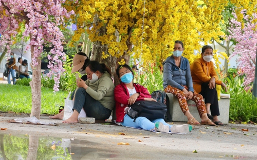 Đưa con đi thi từ 3 giờ sáng, thấp thỏm ngồi chờ suốt nhiều tiếng đồng hồ