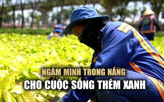 Nghề chăm sóc cây xanh: Nhọc nhằn mưu sinh giữa nắng gắt Sài Gòn