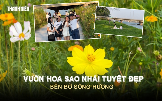 Vườn hoa sao nhái tuyệt đẹp bên bờ sông Hương: Giới trẻ nô nức check-in 