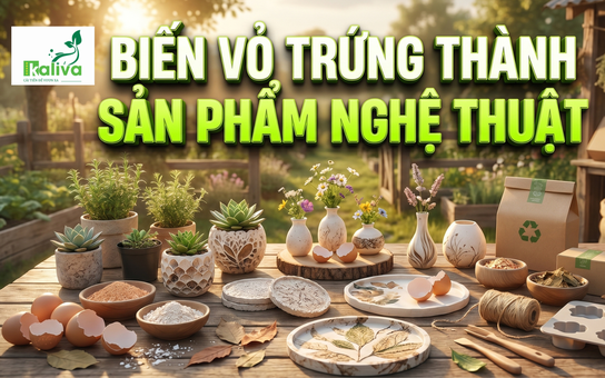 Cùng sống xanh số 149: Ý tưởng từ một lần đi ăn, sinh viên biến vỏ trứng thành sản phẩm tinh xảo