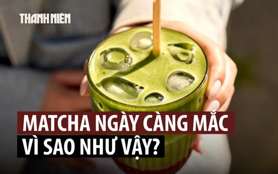 Vì sao matcha ngày càng mắc?