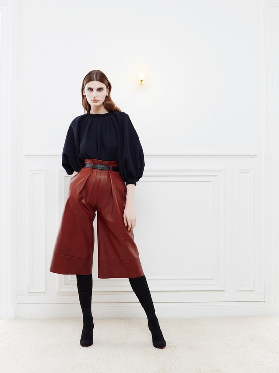  Pre - Fall 2017 Ready - to - wear