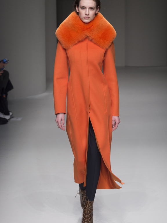  Fall 2017 Ready - to - wear