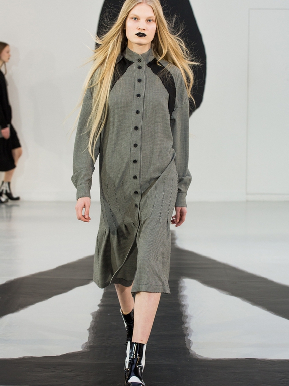  Fall 2016 Ready-to-Wear