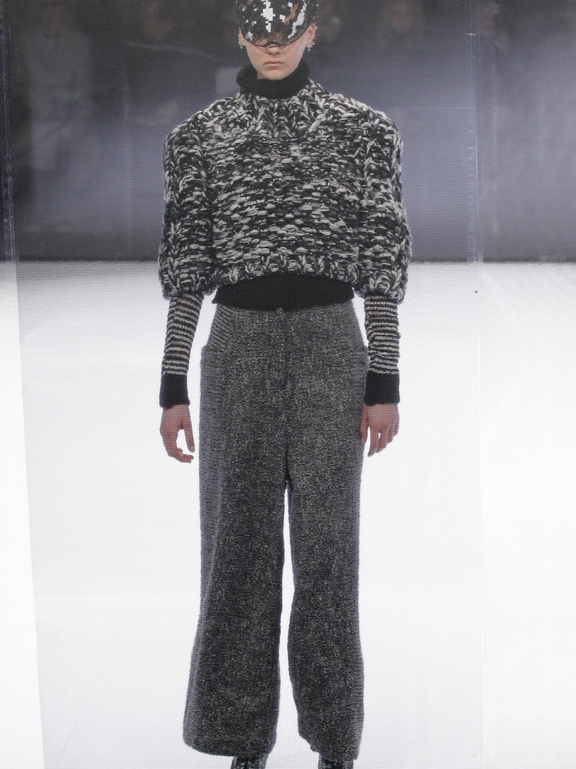  Fall 2016 Ready-to-Wear