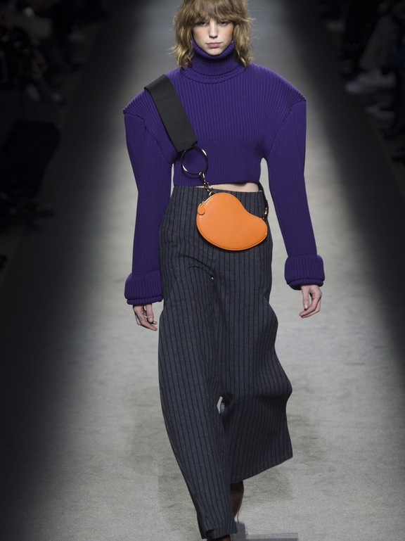  Fall 2016 Ready-to-Wear