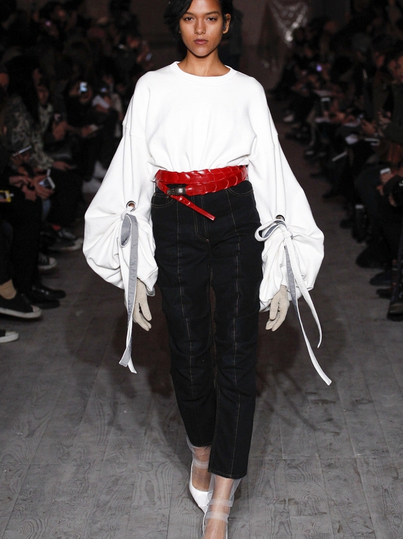  Fall 2016 Ready-to-Wear