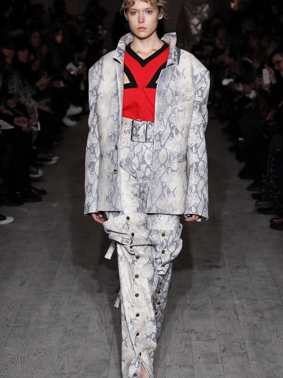  Fall 2016 Ready-to-Wear