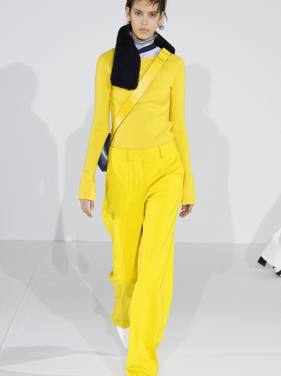  Fall 2016 Ready-to-Wear