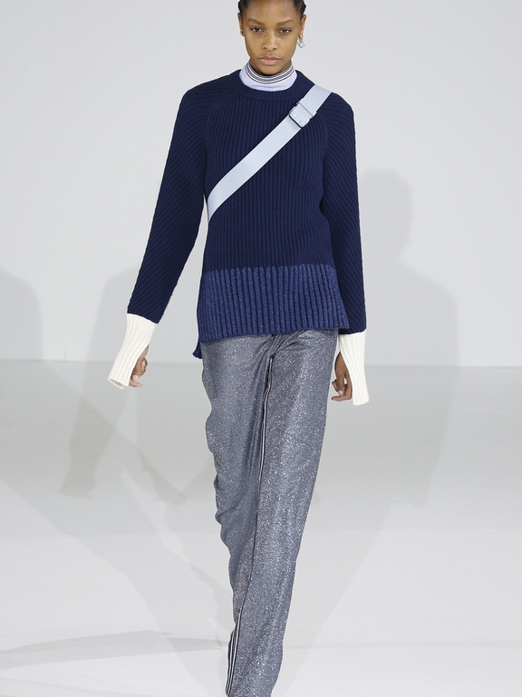  Fall 2016 Ready-to-Wear