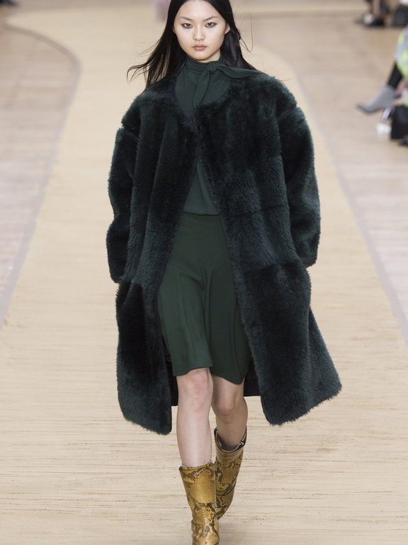  Fall 2016 Ready-to-Wear