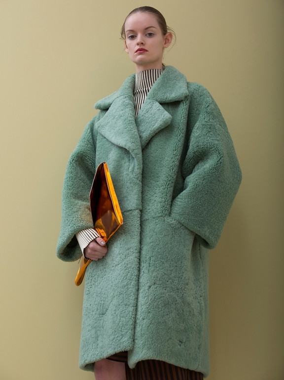  Fall 2016 Ready-to-Wear