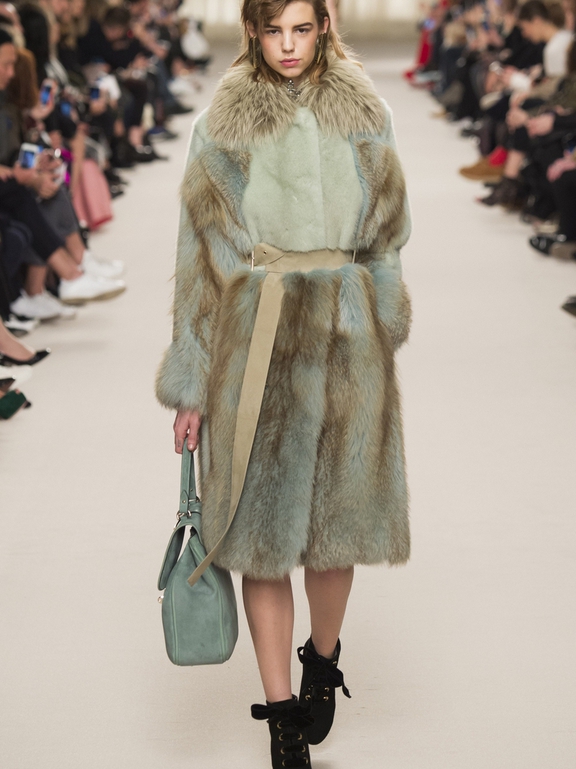  Fall 2016 Ready-to-Wear