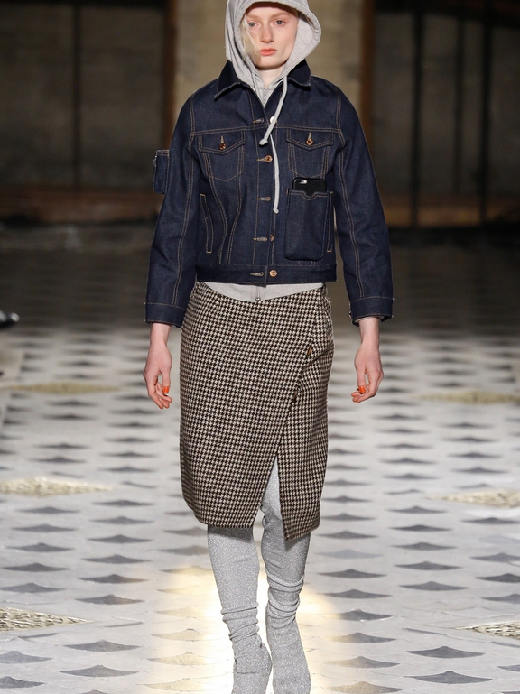  Fall 2016 Ready-to-Wear