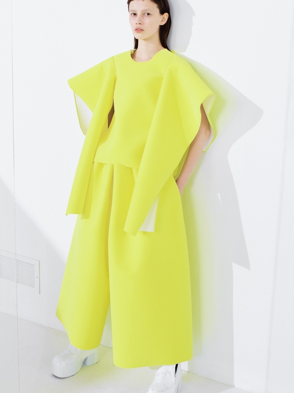  Fall 2016 Ready-to-Wear