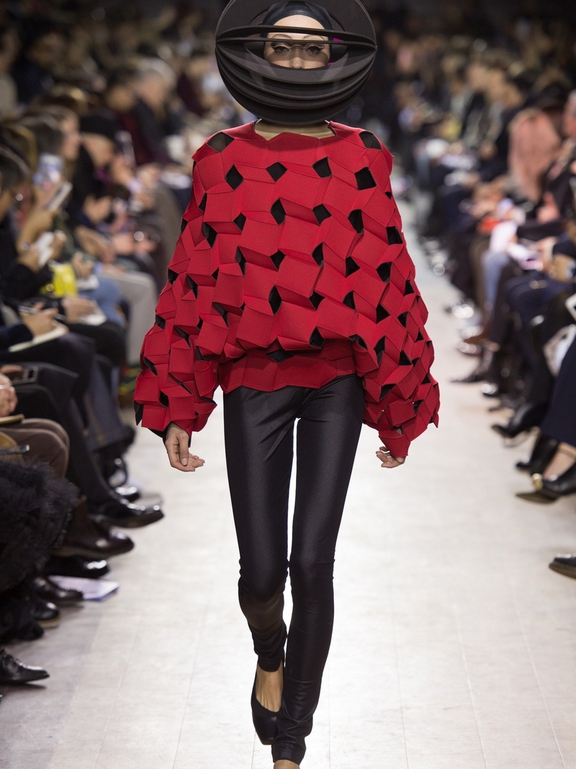  Fall 2016 Ready-to-Wear