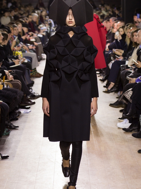  Fall 2016 Ready-to-Wear