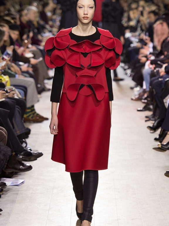  Fall 2016 Ready-to-Wear