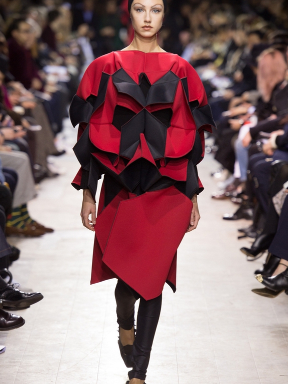  Fall 2016 Ready-to-Wear