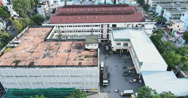 thanhnien.vn