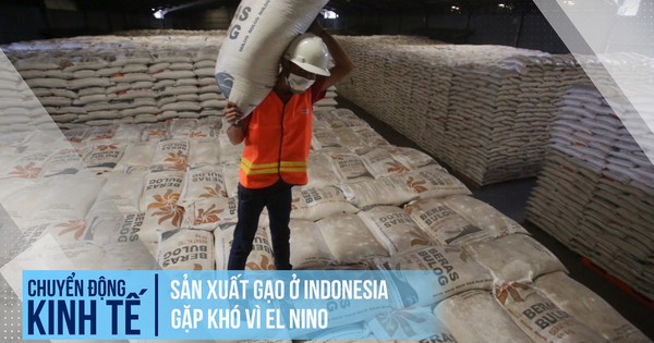 Sản xuất gạo ở Indonesia gặp khó vì El Nino