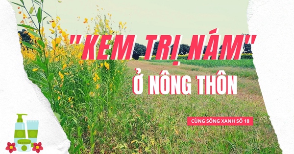 Tia tô có tác dụng làm giảm sự xuất hiện của nám trên da không?