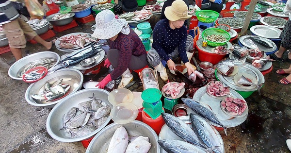 Chợ hải sản Thanh Khê Đông ở Đà Nẵng nổi tiếng với những mặt hàng gì?
