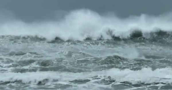 thanhnien.vn