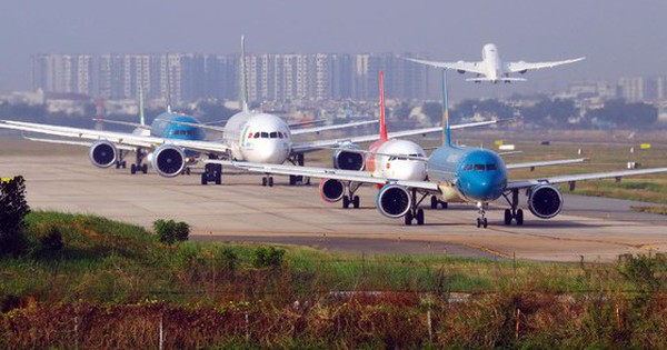 民間航空局長官は、破産を申請した航空会社に関する情報は知らないと述べた。