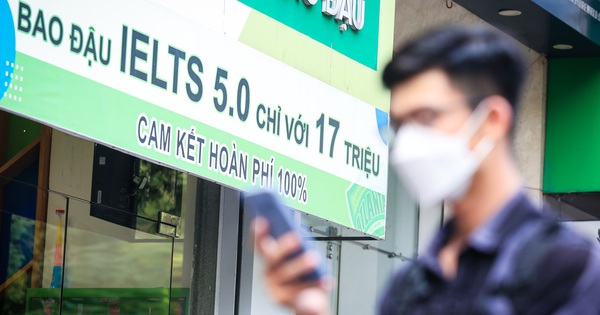 nên học ielts từ lớp mấy