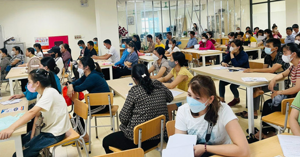 thanhnien.vn