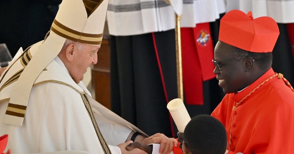 教宗方濟各任命了 21 名紅衣主教，並在繼任者中增加了一份候選人名單