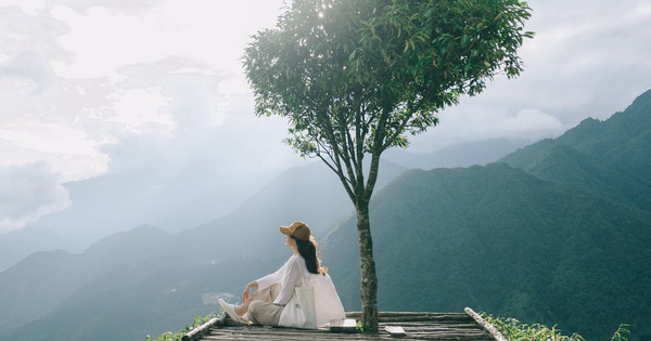 Check-in now at lonely trees in Vietnam