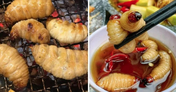 Những món ăn 'không bình thường' ở Việt Nam du khách nên thử