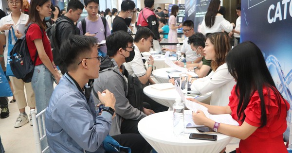 Trong 5 năm tới, những ngành này sẽ có cơ hội việc làm cao?