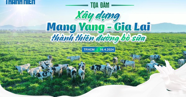Báo Thanh Niên tổ chức tọa đàm 'Xây dựng Mang Yang - Gia Lai thành thiên đường bò sữa'