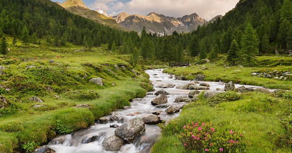 Beautiful parks in Austria, a place that blends with nature