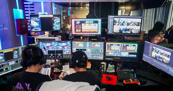 Có một nghề vừa chơi, vừa làm và vừa… có tiền