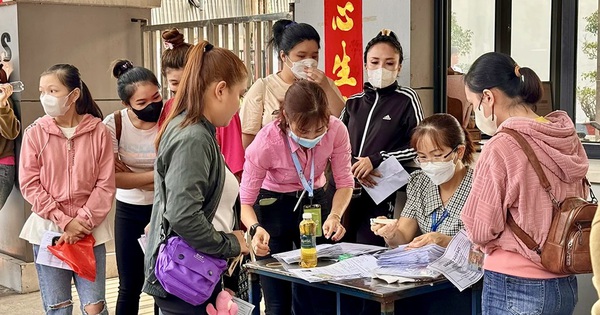 Hơn 35% công việc đang tuyển tại TP.HCM không cần bằng cấp