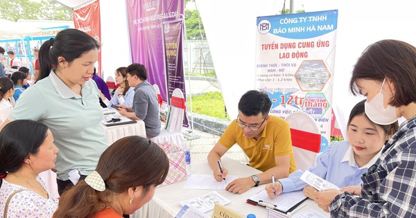 Hơn 2.410 vị trí việc làm dành cho lao động trẻ