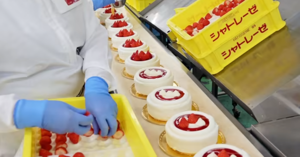 88 lao động Việt phải chờ việc mà không hưởng lương ở Nhật suốt hơn 2 tháng