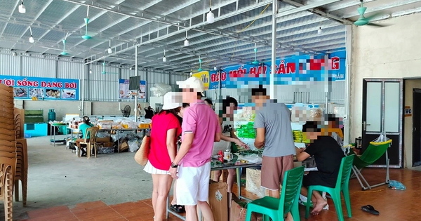 'Luật ngầm' ở các khu du lịch biển: Mối quan hệ 'cộng sinh'