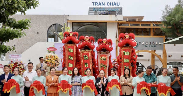 Tr&acirc;n Ch&acirc;u Beach &amp; Resort ra mắt thương hiệu tr&agrave; sữa Tacerla Tea House