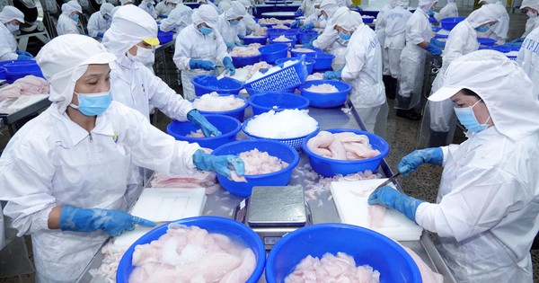 32% ‘việc tìm người’ lương dưới 5 triệu, 41% ‘người tìm việc’ lương trên 20 triệu