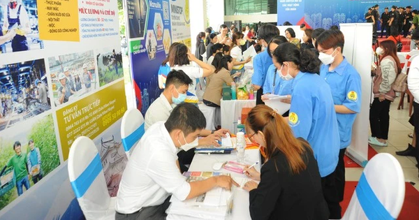 Thực hư chuyện tốt nghiệp đại học loại khá, TOEIC 700 vẫn xin làm… giúp việc nhà