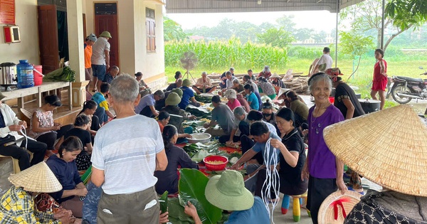 thanhnien.vn